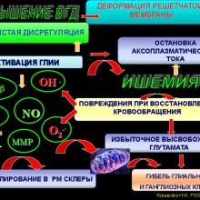 Курышева Н.И., профессор. Концепция глаукомной отптической нейропатии.   Центр офтальмологии  ФМБА России, г. Москва. Доклад на  V Российском общенациональном офтальмологическом форуме (РООФ2012, AROF2012), 04.10.2012г., Москва, Россия. Информационная поддержка www.organum-visus.com специально для www.eye-portal.ru