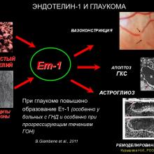 Курышева Н.И., профессор. Концепция глаукомной отптической нейропатии.   Центр офтальмологии  ФМБА России, г. Москва. Доклад на  V Российском общенациональном офтальмологическом форуме (РООФ2012, AROF2012), 04.10.2012г., Москва, Россия. Информационная поддержка www.organum-visus.com специально для www.eye-portal.ru