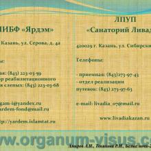Амиров А.Н., Токинова Р.Н. (г. Казань). Наш опыт внедрения новых форм медико-социальной реабилитации лиц с офтальмопатологией. Доклад на офтальмологическом конгрессе "Белые ночи-2014" (White Nights-2014). Информационный партнер www.organum-visus.com