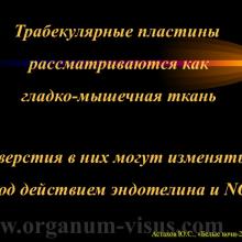 Астахов Ю.С. Некоторые аспекты патогенеза первичной открытоугольной глаукомы. Доклад на XX офтальмологическом конгрессе «Белые ночи-2014». Информационный партнер www.organum-visus.com