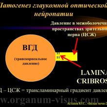 Астахов Ю.С. Некоторые аспекты патогенеза первичной открытоугольной глаукомы. Доклад на XX офтальмологическом конгрессе «Белые ночи-2014». Информационный партнер www.organum-visus.com
