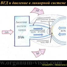 Астахов Ю.С. Некоторые аспекты патогенеза первичной открытоугольной глаукомы. Доклад на XX офтальмологическом конгрессе «Белые ночи-2014». Информационный партнер www.organum-visus.com