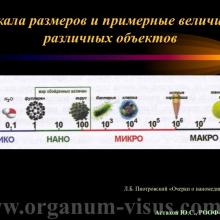 Астахов Ю.С. Медикаментозное лечение глаукомы: ближайшее и отдаленное будущее. Доклад на РООФ-2014 (AROF-2014). Информационный партнер офтальмологический портал Орган зрения www.organum-visus.com