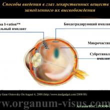 Астахов Ю.С. Медикаментозное лечение глаукомы: ближайшее и отдаленное будущее. Доклад на РООФ-2014 (AROF-2014). Информационный партнер офтальмологический портал Орган зрения www.organum-visus.com