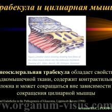 Астахов Ю.С. Медикаментозное лечение глаукомы: ближайшее и отдаленное будущее. Доклад на РООФ-2014 (AROF-2014). Информационный партнер офтальмологический портал Орган зрения www.organum-visus.com