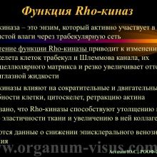 Астахов Ю.С. Медикаментозное лечение глаукомы: ближайшее и отдаленное будущее. Доклад на РООФ-2014 (AROF-2014). Информационный партнер офтальмологический портал Орган зрения www.organum-visus.com