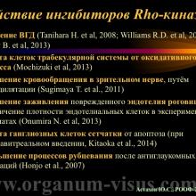 Астахов Ю.С. Медикаментозное лечение глаукомы: ближайшее и отдаленное будущее. Доклад на РООФ-2014 (AROF-2014). Информационный партнер офтальмологический портал Орган зрения www.organum-visus.com