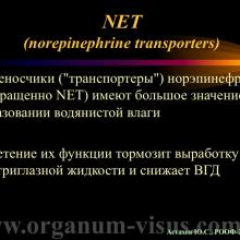 Астахов Ю.С. Медикаментозное лечение глаукомы: ближайшее и отдаленное будущее. Доклад на РООФ-2014 (AROF-2014). Информационный партнер офтальмологический портал Орган зрения www.organum-visus.com