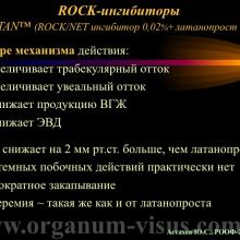 Астахов Ю.С. Медикаментозное лечение глаукомы: ближайшее и отдаленное будущее. Доклад на РООФ-2014 (AROF-2014). Информационный партнер офтальмологический портал Орган зрения www.organum-visus.com
