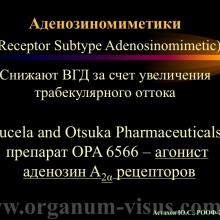 Астахов Ю.С. Медикаментозное лечение глаукомы: ближайшее и отдаленное будущее. Доклад на РООФ-2014 (AROF-2014). Информационный партнер офтальмологический портал Орган зрения www.organum-visus.com