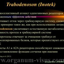 Астахов Ю.С. Медикаментозное лечение глаукомы: ближайшее и отдаленное будущее. Доклад на РООФ-2014 (AROF-2014). Информационный партнер офтальмологический портал Орган зрения www.organum-visus.com