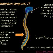 Астахов Ю.С. Глаукома и системные заболевания. Доклад на IX Российском общенациональном офтальмологическом форуме (РООФ-2016, Москва, Россия, 12 октября). Под эгидой Межрегиональной общественной организации «Ассоциация врачей – офтальмологов». Информационный партнер портал Орган зрения organum-visus.ru