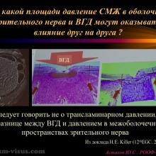 Астахов Ю.С. Глаукома и системные заболевания. Доклад на IX Российском общенациональном офтальмологическом форуме (РООФ-2016, Москва, Россия, 12 октября). Под эгидой Межрегиональной общественной организации «Ассоциация врачей – офтальмологов». Информационный партнер портал Орган зрения organum-visus.ru