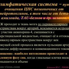 Астахов Ю.С. Глаукома и системные заболевания. Доклад на IX Российском общенациональном офтальмологическом форуме (РООФ-2016, Москва, Россия, 12 октября). Под эгидой Межрегиональной общественной организации «Ассоциация врачей – офтальмологов». Информационный партнер портал Орган зрения organum-visus.ru