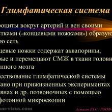 Астахов Ю.С. Глаукома и системные заболевания. Доклад на IX Российском общенациональном офтальмологическом форуме (РООФ-2016, Москва, Россия, 12 октября). Под эгидой Межрегиональной общественной организации «Ассоциация врачей – офтальмологов». Информационный партнер портал Орган зрения organum-visus.ru