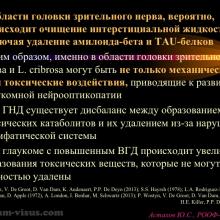 Астахов Ю.С. Глаукома и системные заболевания. Доклад на IX Российском общенациональном офтальмологическом форуме (РООФ-2016, Москва, Россия, 12 октября). Под эгидой Межрегиональной общественной организации «Ассоциация врачей – офтальмологов». Информационный партнер портал Орган зрения organum-visus.ru