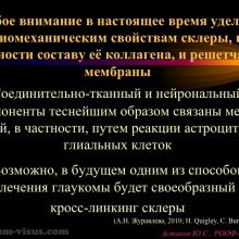 Астахов Ю.С. Глаукома и системные заболевания. Доклад на IX Российском общенациональном офтальмологическом форуме (РООФ-2016, Москва, Россия, 12 октября). Под эгидой Межрегиональной общественной организации «Ассоциация врачей – офтальмологов». Информационный партнер портал Орган зрения organum-visus.ru