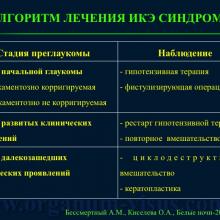 Бессмертный А.М., Киселева О.А. Иридокорнеальный синдром:  диагностика, клиника,  алгоритм лечения. Доклад на XX Международном офтальмологическом конгрессе "Белые ночи-2014", г. Санкт-Петербург, Россия. Информационный партнер www.organum-visus.com