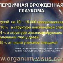 Бржеский В.В., Зерцалова М.А. Современные возможности лечения глаукомы у детей раннего возраста. Доклад на конференции «От проблемы рефракции – к проблеме глаукомы», Челябинск, 20 декабря 2013г. Glaucoma in Children. Информационный партнер www.organum-visus.com
