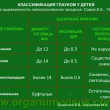 Бржеский В.В., Зерцалова М.А. Современные возможности лечения глаукомы у детей раннего возраста. Доклад на конференции «От проблемы рефракции – к проблеме глаукомы», Челябинск, 20 декабря 2013г. Glaucoma in Children. Информационный партнер www.organum-visus.com
