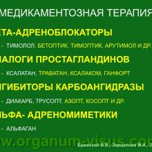 Бржеский В.В., Зерцалова М.А. Современные возможности лечения глаукомы у детей раннего возраста. Доклад на конференции «От проблемы рефракции – к проблеме глаукомы», Челябинск, 20 декабря 2013г. Glaucoma in Children. Информационный партнер www.organum-visus.com