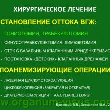 Бржеский В.В., Зерцалова М.А. Современные возможности лечения глаукомы у детей раннего возраста. Доклад на конференции «От проблемы рефракции – к проблеме глаукомы», Челябинск, 20 декабря 2013г. Glaucoma in Children. Информационный партнер www.organum-visus.com