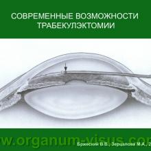Бржеский В.В., Зерцалова М.А. Современные возможности лечения глаукомы у детей раннего возраста. Доклад на конференции «От проблемы рефракции – к проблеме глаукомы», Челябинск, 20 декабря 2013г. Glaucoma in Children. Информационный партнер www.organum-visus.com