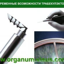 Бржеский В.В., Зерцалова М.А. Современные возможности лечения глаукомы у детей раннего возраста. Доклад на конференции «От проблемы рефракции – к проблеме глаукомы», Челябинск, 20 декабря 2013г. Glaucoma in Children. Информационный партнер www.organum-visus.com