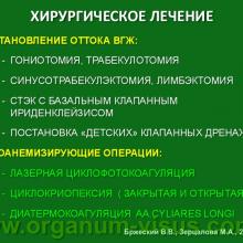 Бржеский В.В., Зерцалова М.А. Современные возможности лечения глаукомы у детей раннего возраста. Доклад на конференции «От проблемы рефракции – к проблеме глаукомы», Челябинск, 20 декабря 2013г. Glaucoma in Children. Информационный партнер www.organum-visus.com