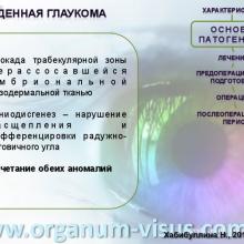 Хабибуллина Наиля Мухаметовна (ДРКБ, г. Казань) Преимущества спонч-дренирования при лечении врожденной глаукомы. Доклад на Всероссийском конгрессе «Глаукома на рубеже веков» 5-6 сентября 2013г., г. Казань, Республика Татарстан, Россия. Информационный партнер www.organum-visus.com