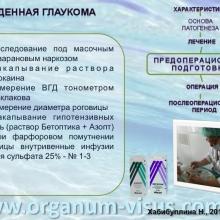 Хабибуллина Наиля Мухаметовна (ДРКБ, г. Казань) Преимущества спонч-дренирования при лечении врожденной глаукомы. Доклад на Всероссийском конгрессе «Глаукома на рубеже веков» 5-6 сентября 2013г., г. Казань, Республика Татарстан, Россия. Информационный партнер www.organum-visus.com