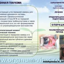 Хабибуллина Наиля Мухаметовна (ДРКБ, г. Казань) Преимущества спонч-дренирования при лечении врожденной глаукомы. Доклад на Всероссийском конгрессе «Глаукома на рубеже веков» 5-6 сентября 2013г., г. Казань, Республика Татарстан, Россия. Информационный партнер www.organum-visus.com