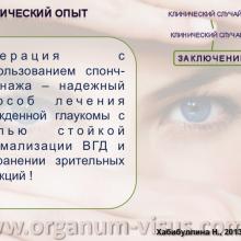 Хабибуллина Наиля Мухаметовна (ДРКБ, г. Казань) Преимущества спонч-дренирования при лечении врожденной глаукомы. Доклад на Всероссийском конгрессе «Глаукома на рубеже веков» 5-6 сентября 2013г., г. Казань, Республика Татарстан, Россия. Информационный партнер www.organum-visus.com