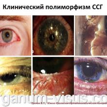 Еричев В.П. Лечение глаукомы взаимная ответственность врача и пациента. Доклад: Южно-Уральская офтальмологическая панорама, г. Челябинск, 18 декабря 2015 г. Информационный партнер портал Орган зрения www.organum-visus.com