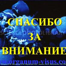 Киселева О.А., Иомдина Е.Н., Филиппова О.М., Журавлева А.Н.,  Ловпаче Дж.Н., Василенкова Л.В. Аналитический обзор ряда направлений изучения первичной открытоугольной глаукомы. Доклад на РООФ-2014, г. Москва, Россия, 30 сентября 2014г.  Информационный партнер офтальмологический портал орган зрения www.organum-visus.com