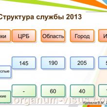 Куракина В.М. (г. Нижний Новгород, Россия) Состояние офтальмологической службы Министерства Здравоохранения Нижегородской области за 2013 год. Информационный партнер www.organum-visus.com