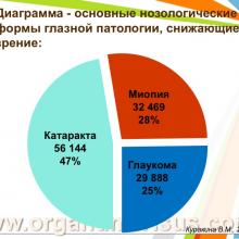 Куракина В.М. (г. Нижний Новгород, Россия) Состояние офтальмологической службы Министерства Здравоохранения Нижегородской области за 2013 год. Информационный партнер www.organum-visus.com