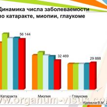 Куракина В.М. (г. Нижний Новгород, Россия) Состояние офтальмологической службы Министерства Здравоохранения Нижегородской области за 2013 год. Информационный партнер www.organum-visus.com