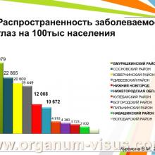 Куракина В.М. (г. Нижний Новгород, Россия) Состояние офтальмологической службы Министерства Здравоохранения Нижегородской области за 2013 год. Информационный партнер www.organum-visus.com