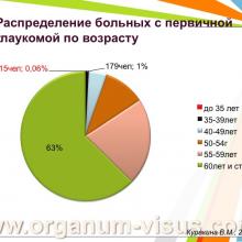 Куракина В.М. (г. Нижний Новгород, Россия) Состояние офтальмологической службы Министерства Здравоохранения Нижегородской области за 2013 год. Информационный партнер www.organum-visus.com