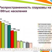 Куракина В.М. (г. Нижний Новгород, Россия) Состояние офтальмологической службы Министерства Здравоохранения Нижегородской области за 2013 год. Информационный партнер www.organum-visus.com