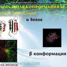 Курышева Н.И. Нейропротективные свойства местных антиглаукомных препаратов (Kurysheva N.I. Neuroprotection of glaucoma, RGS-2014). Доклад на РГО-2014: XII Международный конгресс Глаукома: теории, тенденции, технологии (г. Москва, 05 декабря 2014 г.). Офтальмологический портал Орган зрения www.organum-visus.com