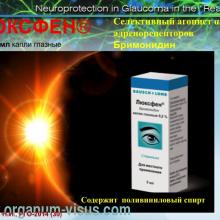 Курышева Н.И. Нейропротективные свойства местных антиглаукомных препаратов (Kurysheva N.I. Neuroprotection of glaucoma, RGS-2014). Доклад на РГО-2014: XII Международный конгресс Глаукома: теории, тенденции, технологии (г. Москва, 05 декабря 2014 г.). Офтальмологический портал Орган зрения www.organum-visus.com
