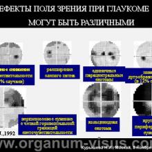 Курышева Н.И. (Центр офтальмологии ФМБА России) Лечение глаукомы: что мы знаем и что мы можем? Доклад на III международном симпозиуме "Проблемные вопросы глаукомы", 08 ноября 2014 г., г. Москва, Россия (Kurysheva N.I. Problematic issues Glaucoma. Moscow, 2014). Информационный партнер офтальмологический портал Орган зрения www.organum-visus.com