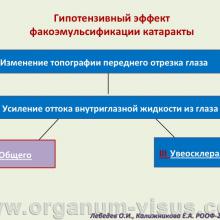Лебедев О.И., Калижникова Е.А. Роль увеосклерального оттока в патогенезе гипотензивного эффекта факоэмульсификации катаракты. Доклад на VIII Российском общенациональном офтальмологическом форуме»</a> (РООФ-2015, All-Russia Ophthalmological Forum, AROF2015). Информационный партнер www.organum-visus.com