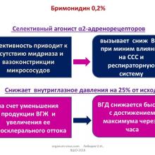 Лебедев О.И. Медикаментозные возможности активации увеосклерального оттока внутриглазной жидкости. Доклад на XV Всеросийской Школе офтальмолога (ВШО-2016, 11-12 марта, Снегири, Россия). Портал Орган зрения organum-visus.ru