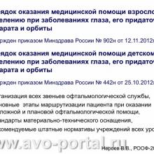 Нероев В.В. Анализ современного состояния офтальмологической службы Российской Федерации. Доклад на VI Российском общенациональном офтальмологическом форуме (РООФ-2013, AROF-2013). Под эгидой Межрегиональной общественной организации «Ассоциация врачей – офтальмологов». Media Partner www.organum-visus.com