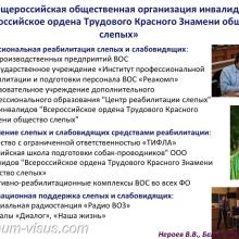 Нероев В.В. Инвалидность по зрению в Российской Федерации. Доклад на офтальмологическом конгрессе Белые ночи-2017 (XIII конгресс АВО), г. Санкт-Петербург, Россия. Информационный партнер organum-visus.ru