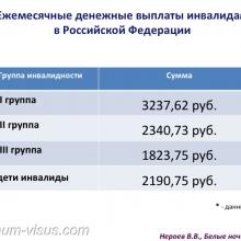 Нероев В.В. Инвалидность по зрению в Российской Федерации. Доклад на офтальмологическом конгрессе Белые ночи-2017 (XIII конгресс АВО), г. Санкт-Петербург, Россия. Информационный партнер organum-visus.ru