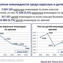 Нероев В.В. Инвалидность по зрению в Российской Федерации. Доклад на офтальмологическом конгрессе Белые ночи-2017 (XIII конгресс АВО), г. Санкт-Петербург, Россия. Информационный партнер organum-visus.ru